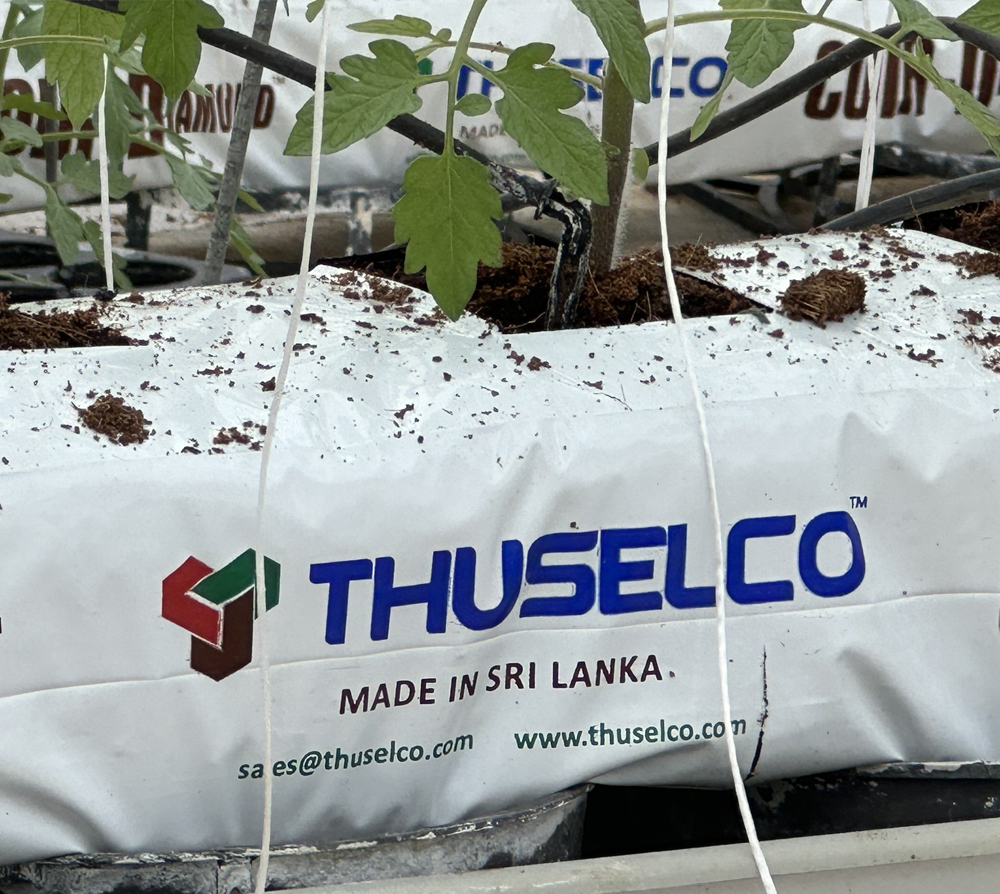 Thuselco